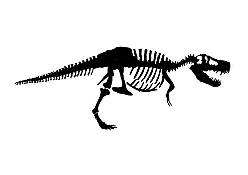T-rex short sleeve black T-shirt or white shirt(back)