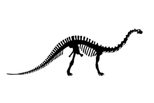 Apatosaurus short sleeve black T-shirt or white shirt (back)