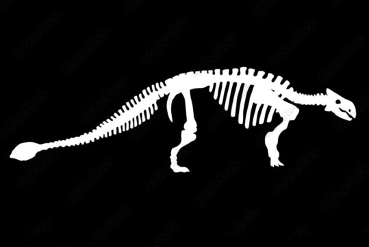 Ankylosaurus short sleeve black T-shirt or white