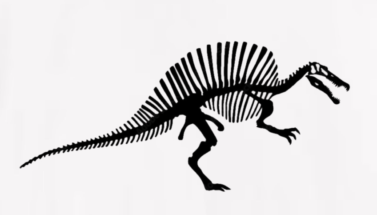 Spinosaurus short sleeve black T-shirt or white shirt
