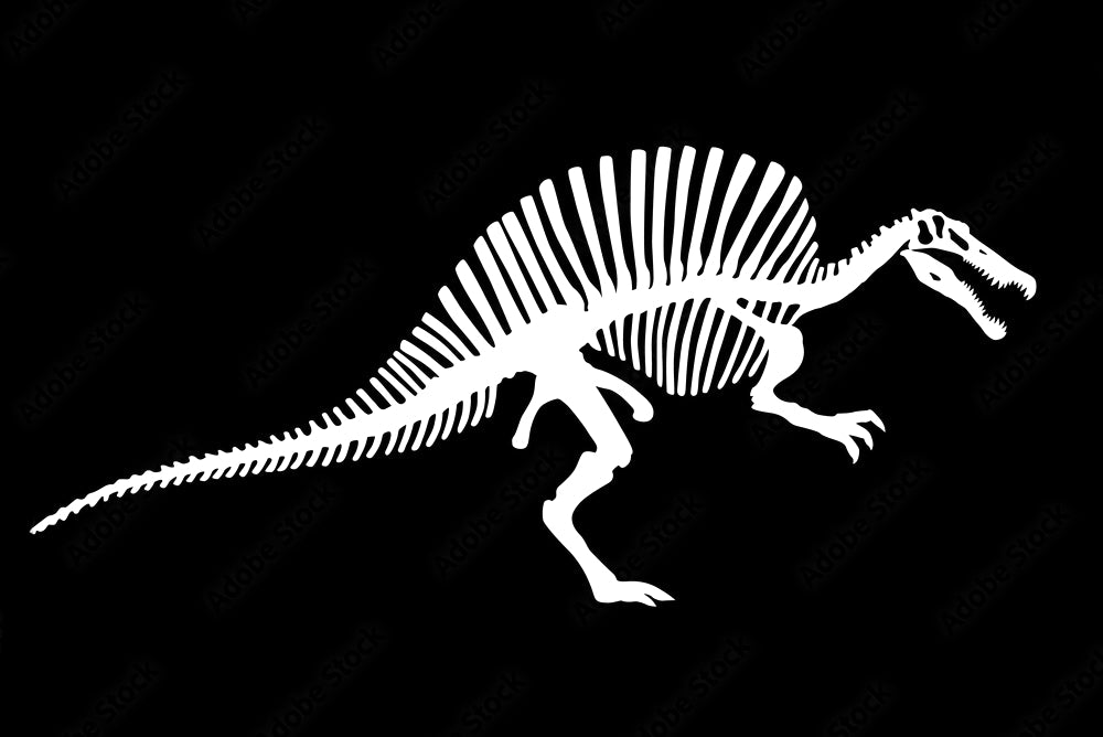 Spinosaurus short sleeve black T-shirt or white shirt